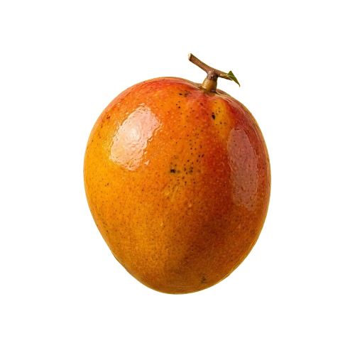 Flying Mango